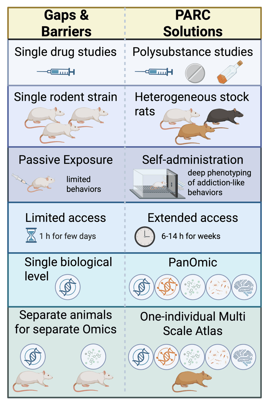 Two-column comparison of gaps and barriers in addiction research versus PARC solutions: single drug studies versus polysubstance studies; single rodent strain versus heterogeneous stock rats; passive exposure versus self-administration with deep phenotyping; limited access (1 hour for a few days) versus extended access (6 to 14 hours for weeks); single biological level versus PanOmic profiling; separate animals for separate omics versus the One-Individual Multiscale Atlas.